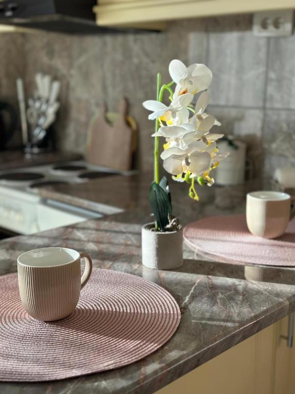 Apartament Adel'S Subotica Zewnętrze zdjęcie