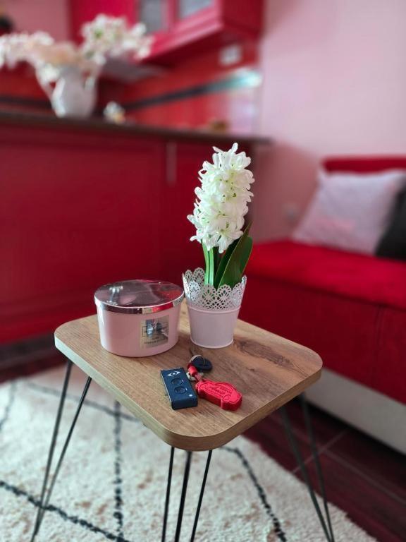 Apartament Adel'S Subotica Zewnętrze zdjęcie